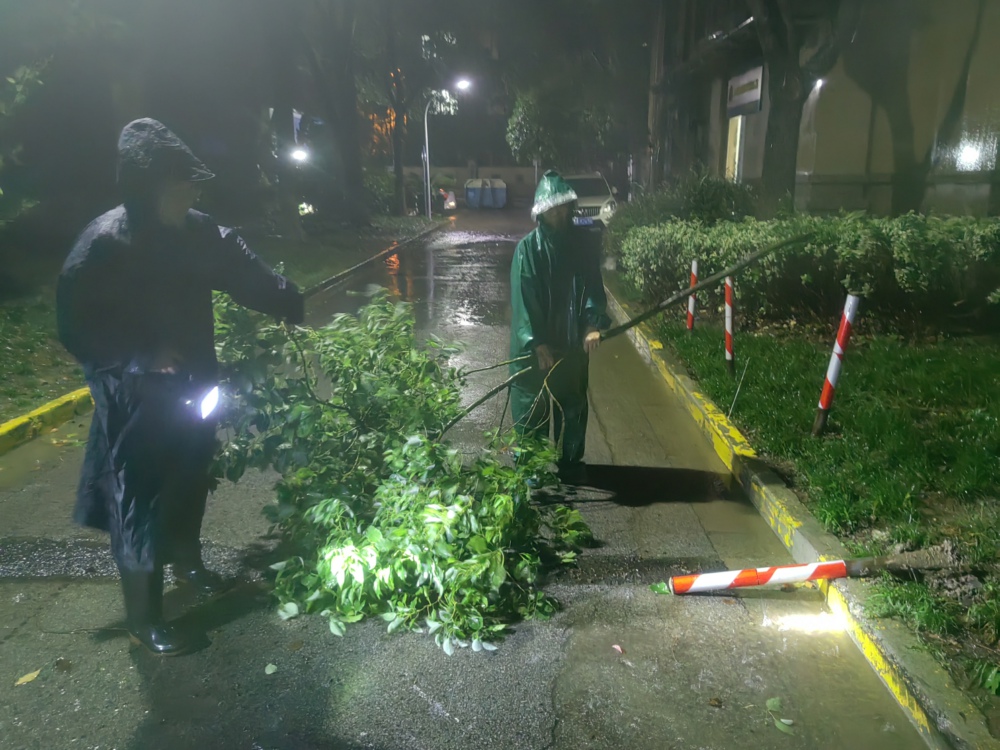 台风“梅花”夜间值班物业工作人员捡掉落地面的树枝照片.jpg