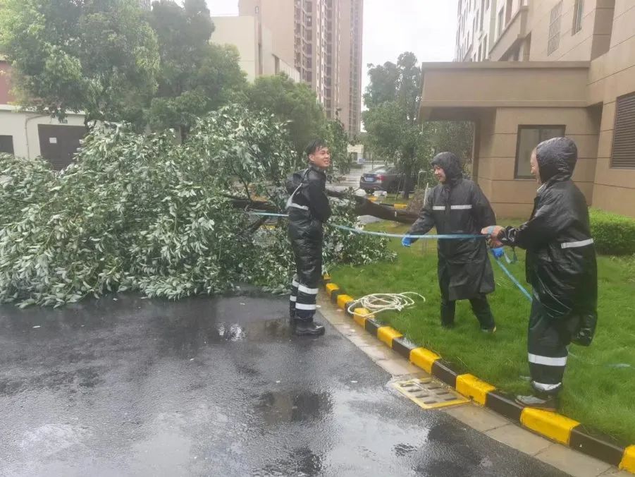 奥林匹克1.jpg