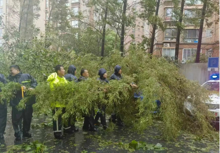 东湖1.png