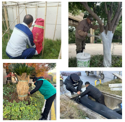 1765522344322792.png 03.png