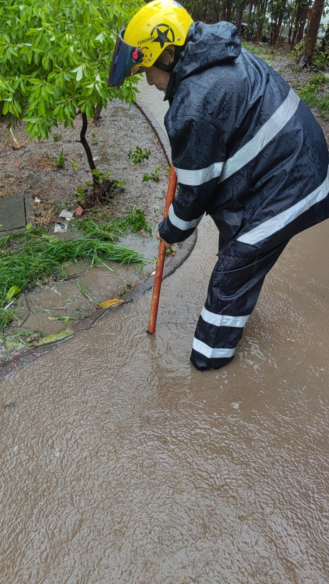 1768284876425068.png 图片4.png