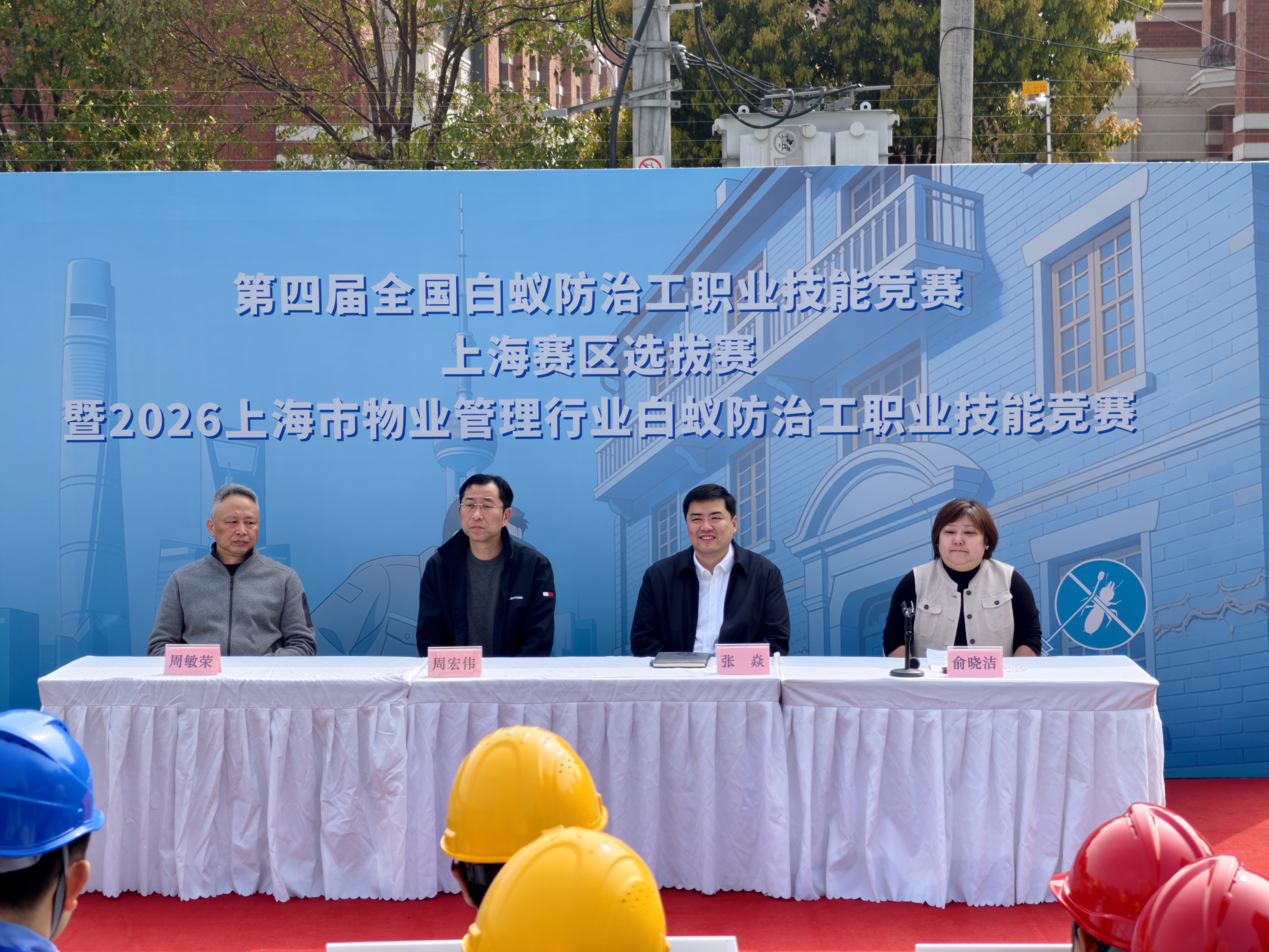 1775715246597166.jpg 白蚁1.jpg